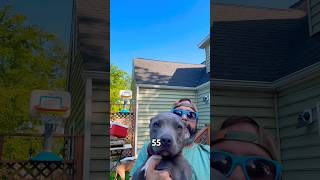 Trick Shot Push-Up Challenge!