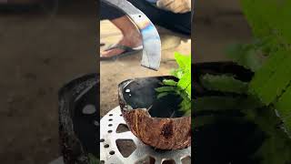 The hardening or gilding on the knife blade is used for the rubber tree,,unik is also interesting