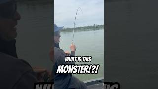 I hooked a monster! 🎣 #shorts