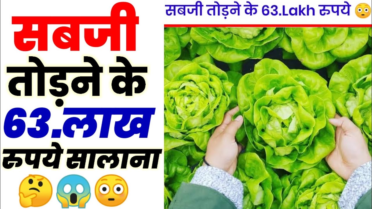 सबजी तोड़ने के 63.लाख रुपये सालाना 😱 