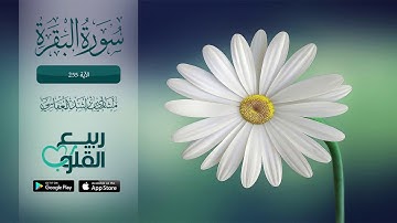 ايه الكرسي بصوت مشاري العفاسي من سورة البَقَرَة الآية 255 | القارئ مشاري العفاسي