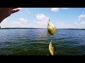 My FAVORITE Crappie Rig Setup (How to Tie Double Jig Crappie Rig)