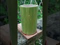 Use To Bamboo Make Piggy Bank To Save Money DIY Shorts