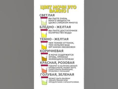 О ЧЕМ ГОВОРИТ ЦВЕТ МОЧИ - YouTube