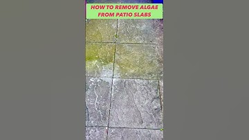 #shorts  How to remove algae from your garden slabs