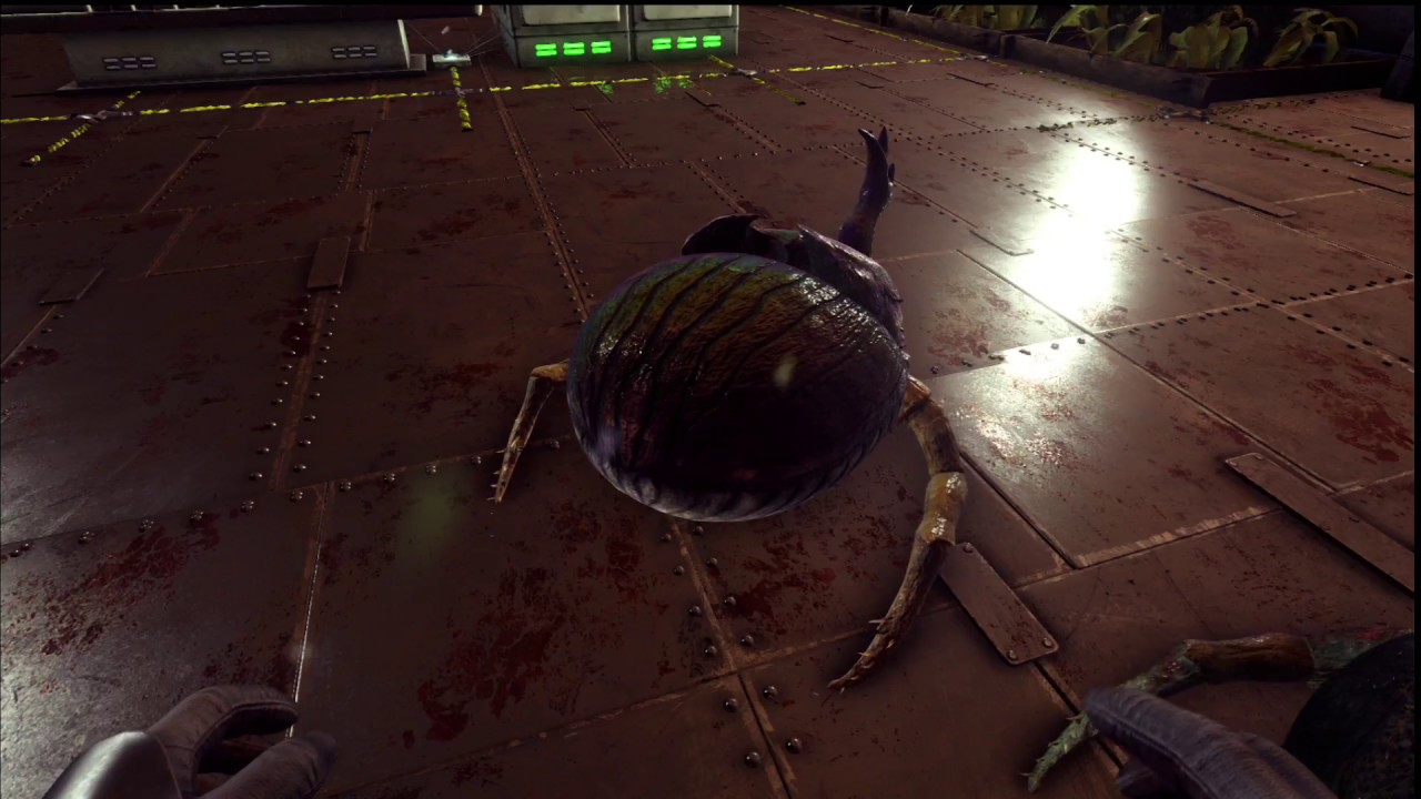 Dung Beetle Not Working! Whatchouwant in 90 Seconds!