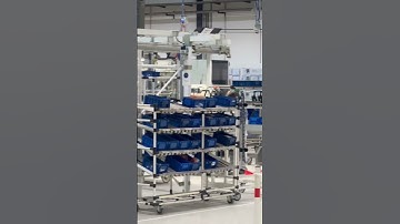 Behind the Scenes at Walkolution: Crafting the Walkolution 2