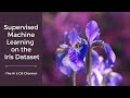 Machine learning on iris dataset  supervised learning on iris dataset  machine learning project 5