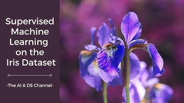 Iris 데이터세트를 활용한 머신 러닝 | Iris 데이터세트를 활용한 지도 학습 | 머신 러닝 프로젝트 5