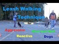 Leash walking technique for aggressive reactive or over excited dogs