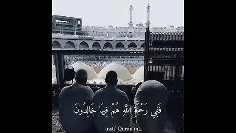 أرح سمعك تلاوة القرآن الكريم القارئ عبد لله الموسى