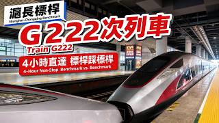 上海至長沙僅需1446萬毫秒！體驗滬長最強標桿G222次高鐵｜Shanghai to Changsha in 14,460,000 ms! Riding G222 HSR #高鐵旅行 #G222次列車