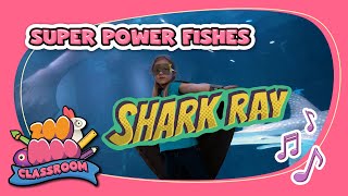Super Power Fishes| Splash & Bubbles |@ZooMoo