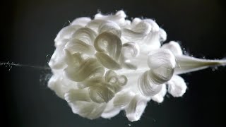 Fiber Optic Bloom Pulse 💡⚪✨ (4K Macro Loop) screenshot 2