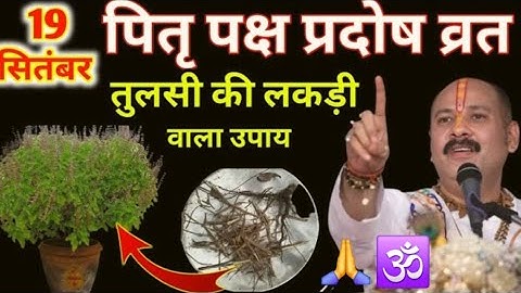 19 सितंबर प्रदोष व्रत, तुलसी की सूखी लकड़ी वाला उपाय माताएं जरूर करें #pradeepmishra ji ke #upay 