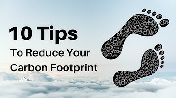 10 Tips to Reduce Your Carbon Footprint