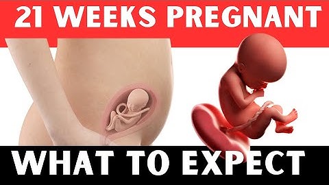 21 Weeks Pregnant- What To Expect.