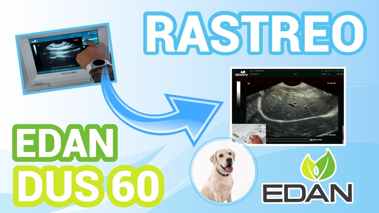 ¿CÓMO REALIZAR RASTREO EN ULTRASONIDO EDAN DUS 60 VET?