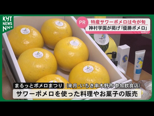 Now in season! Promoting the appeal of sour pomelo to the governor