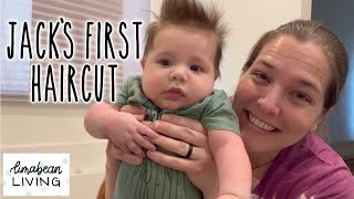 3-Month-Old Jack Gets His First Haircut