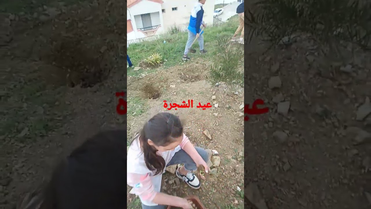 الاحتفال بعيد الشجرة في المتوسطة ❤️