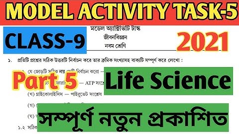 Class 9 Life Science Model Activity Task Part 5//Model Activity Task Jibon Biggan Class IX Part 5