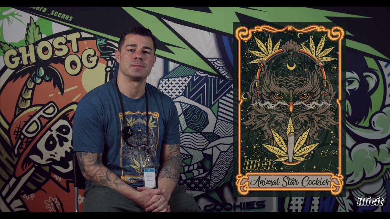 ILLICIT STRAIN EDUCATION: ANIMAL STAR COOKIES