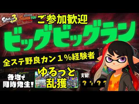 【スプラトゥーン3】ご参加歓迎 ビッグビッグラン 全ステ野良カンスト上位1%経験者【長月紅葉】#参加型 #ビッグラン #サモラン