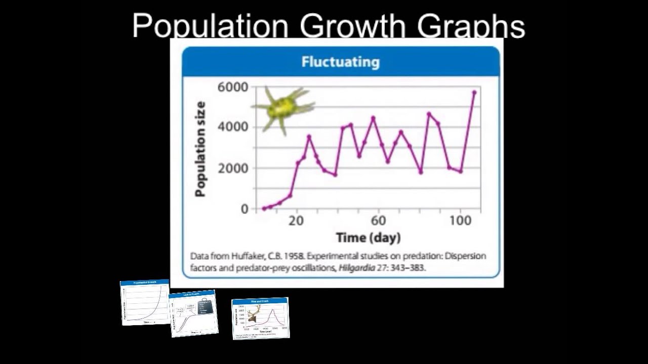 population growth graph