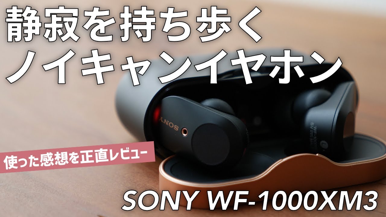 ソルティープラッガー SPS902-Ti ufm ウエダ ソルティープラッガー SPS902-Ti チタンガイドモデル