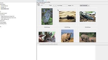 Introduction to File Carving with Autopsy 3