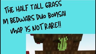 The half tall grass in bedwars duo Bonsai map is NOT rare?!