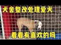 阿龙犬舍整改处理爱犬，一条竟卖5000元，看看品相咋样