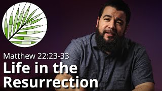 Jesus and the Sadducees | Matthew 22:23-33