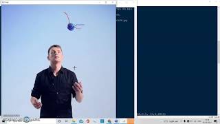 Famous Ball Trajectory Prediction and Tracking using OpenCV and Kalman Filter Net Worth