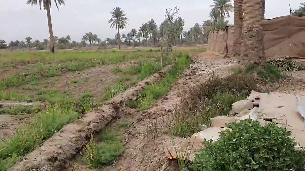 #ارض 7 دونم + 2 دار للبيع في #كربلاء_المقدسة_قضاء_طويريج_الشارع_الرابط_لناحية_الرجيبة_الشارع_العام