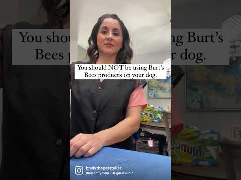 Why you should NOT bathe your dog using Burt’s Bees dog shampoo