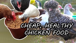 Save $$ With Fermented Grains For Chickens | Cheap, Easy, Beneficial