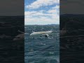 the aviation world is joking EP43