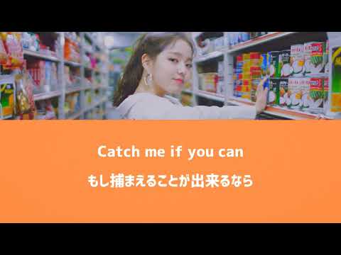 #로시 #bee 로시 (rothy) - 【 bee 】 (カナルビ・日本語字幕)