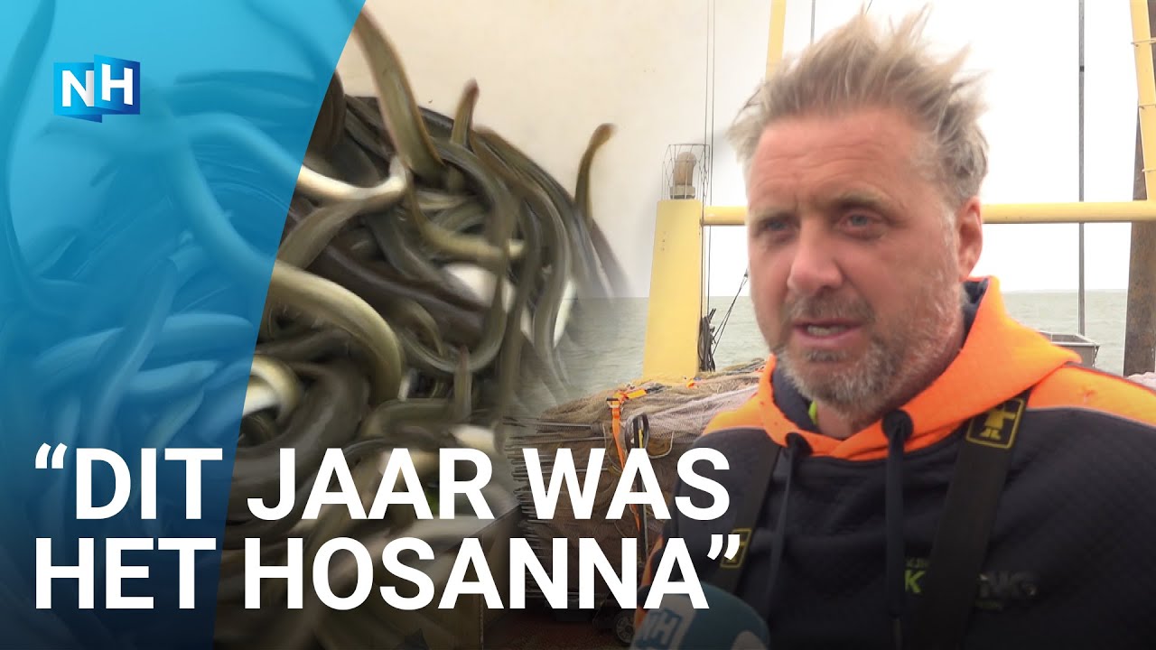 Gouden tijden voor Volendamse palingvissers