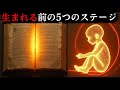 生まれる前:あなたの魂はこうして今の人生を選んだ