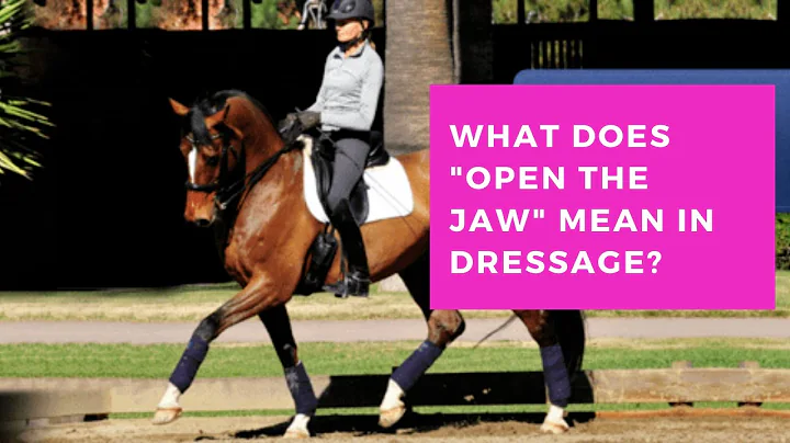 What Does It Mean To Open The Jaw In Dressage