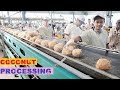 Amazing COCONUT Processing Machines in Factory ★ Fast Workers with Food Cutting Machine Inventions