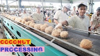 Amazing COCONUT Processing Machines in Factory ★ Fast Workers with Food Cutting Machine Inventions