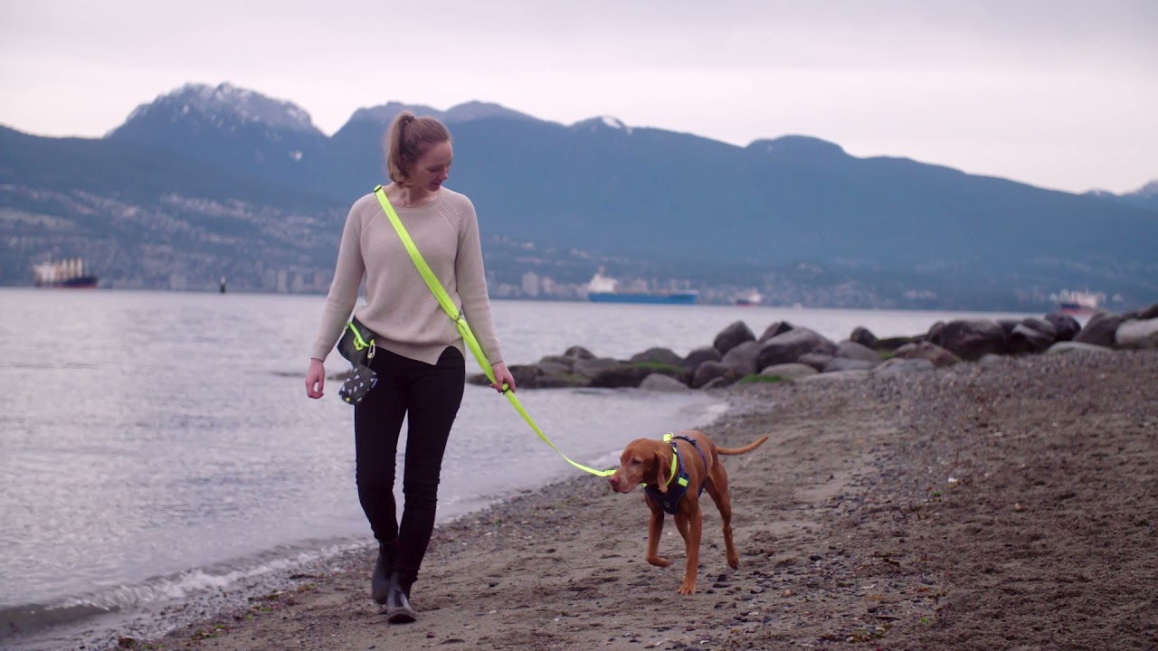 RC Pets : Primary Active Leash