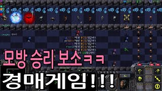 모방 승리 보소ㅋㅋ 스타 유즈맵 [경매게임]