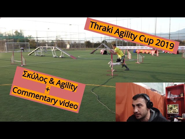 Σκύλος Thraki Agility Cup 2019