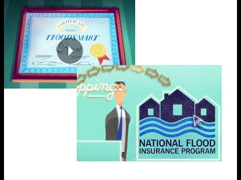 MaxFlood--A animated view of the life of a FloodSmart insurance agent