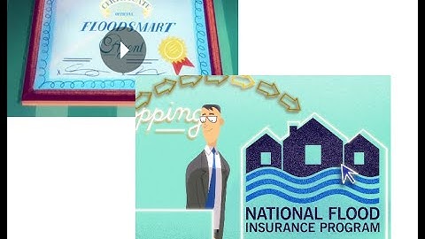 MaxFlood--A animated view of the life of a FloodSmart insurance agent